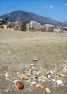 Från stranden-